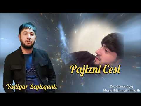 Yadigar Beyleqanli Pajizni Cesi