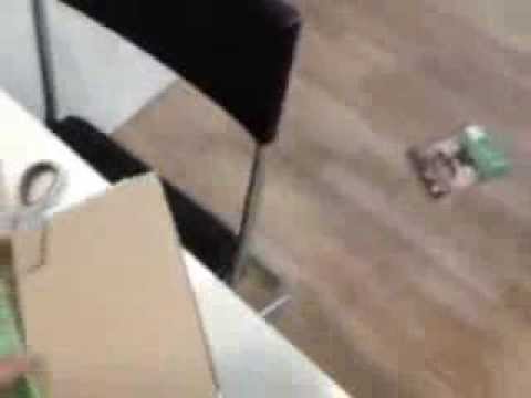 Pacchi di faccia professionali dopo pulizia Lo schiarimento vesiculate mogongtox pacco di faccia di foglio di bolla di carbonato di sodio