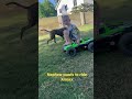 Traxxas Xmaxx Traxxas Rc 4x4 Offroad Rccars Family Viral