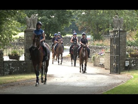John Dance and Karl Burke on Yorkshire Oaks contender Laurens