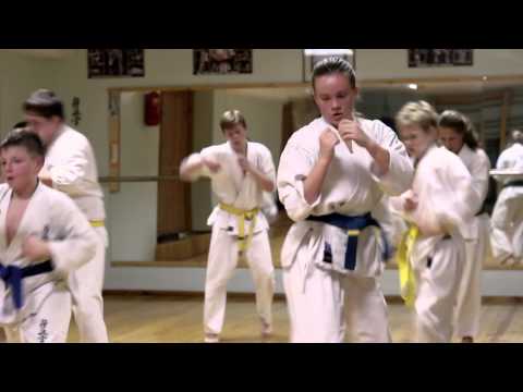 Kyokushin karate mokykla "TOSHI" 2015