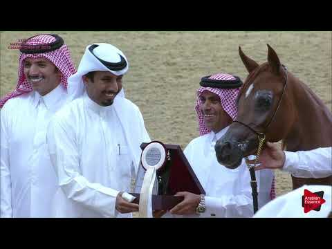 34 - YABREEN AL SHAQAB