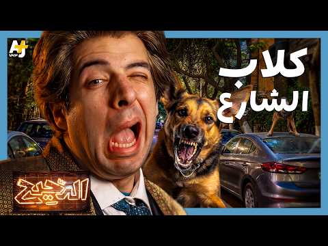 Yemeni Windows Media