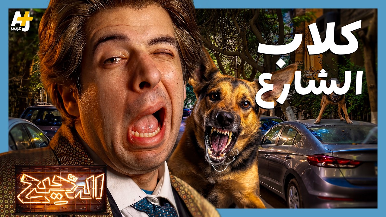 الدحيح | لماذا ما زالت كلاب الشوارع موجودة؟