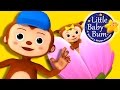Monkey Peekaboo Nursery Rhymes For Babies By LittleBabyBum ABCs And 123s