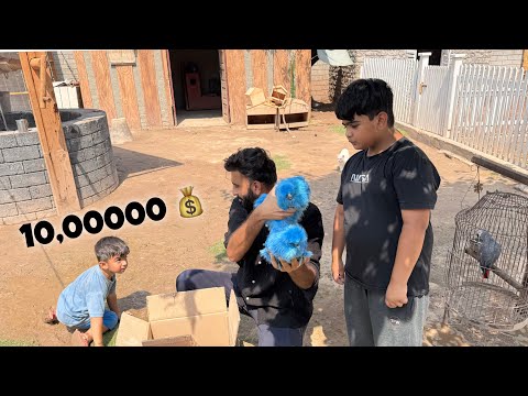 Zindgi Main Phli Bar Neeli Murgi Dekhi😍