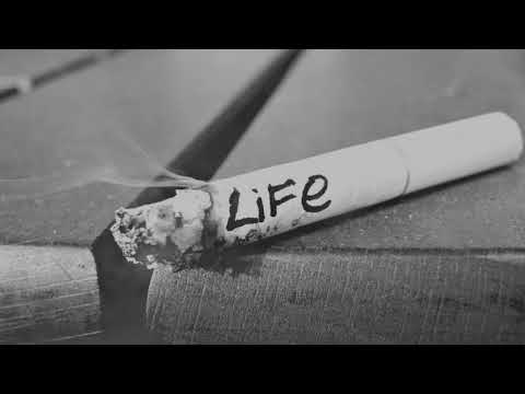 Ile chwil - Trefl x RojeK