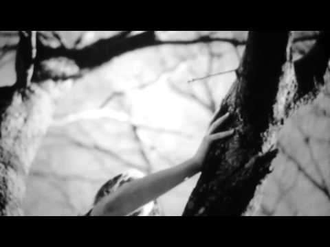 Duran Duran - The Man Who Stole A Leopard directed by Unhit Videos for Genero Tv