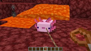 [閒聊] minecraft 新bug 讓蠑螈變得像狗的bug