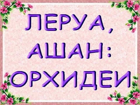 ЛЕРУА,Ашан:ЧУДЕСНЫЙ завоз ОРХИДЕЙ,06.11.20,ТЦ "Космопорт",Самара.