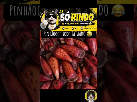 Respeita o meu Pinhão tatuado, que ele é bruto mesmo! 🌰🤠