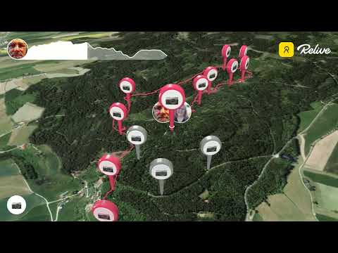 Moorwald Wanderung in Bad Leonfelden