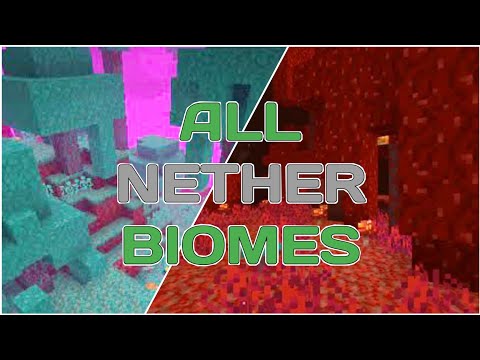 All Nether Biomes Of Minecraft (With Names) | MUST WATCH |