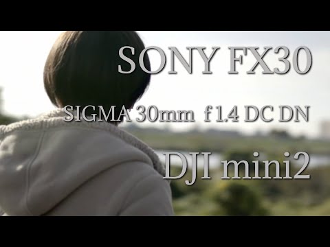 スマホ内の動画、編集致します イメージ1