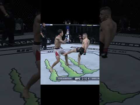 Respect and Rivalry: Max Holloway’s Insight on Volkanovski’s Featherweight Reign