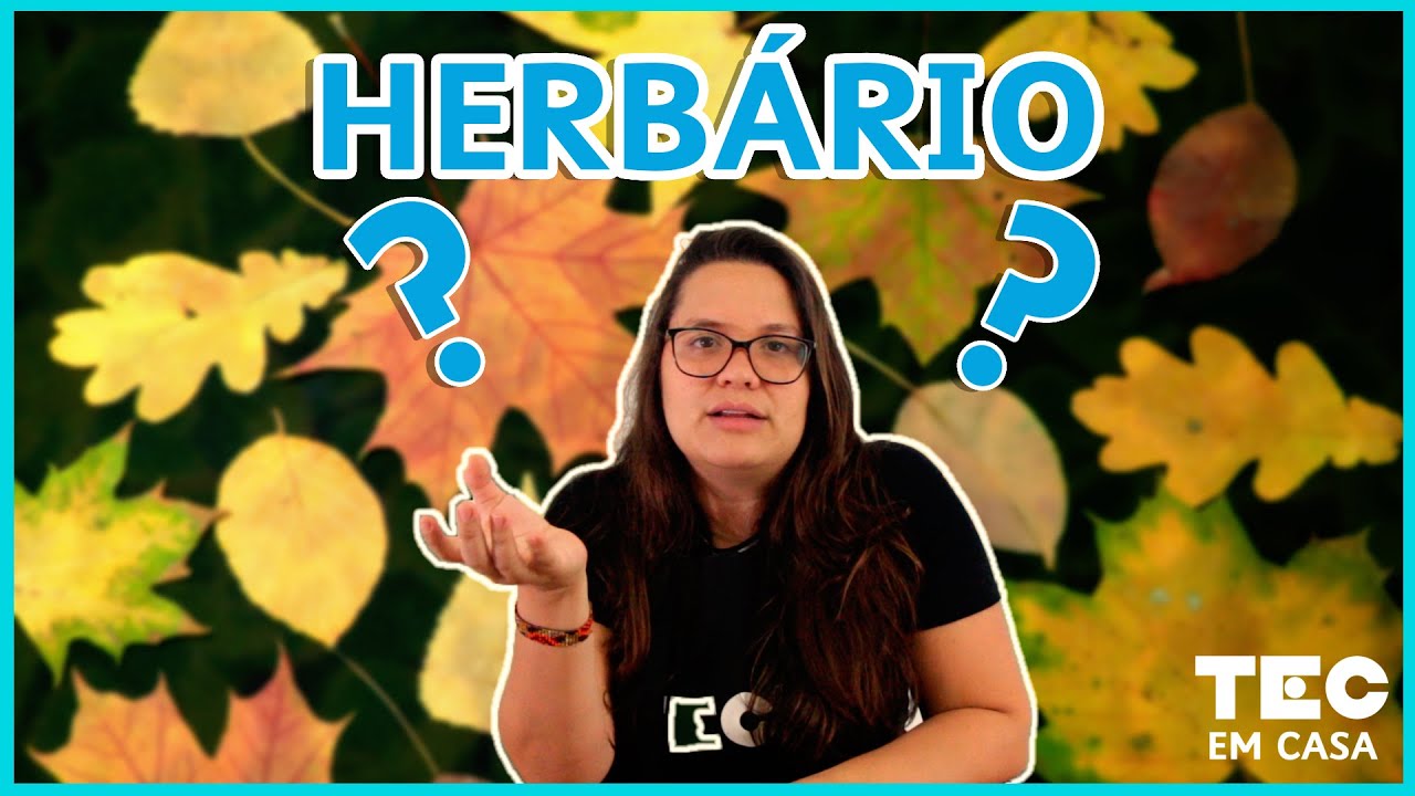 HERBÁRIO 🍂🍃 | Aprenda a catalogar as suas plantas!