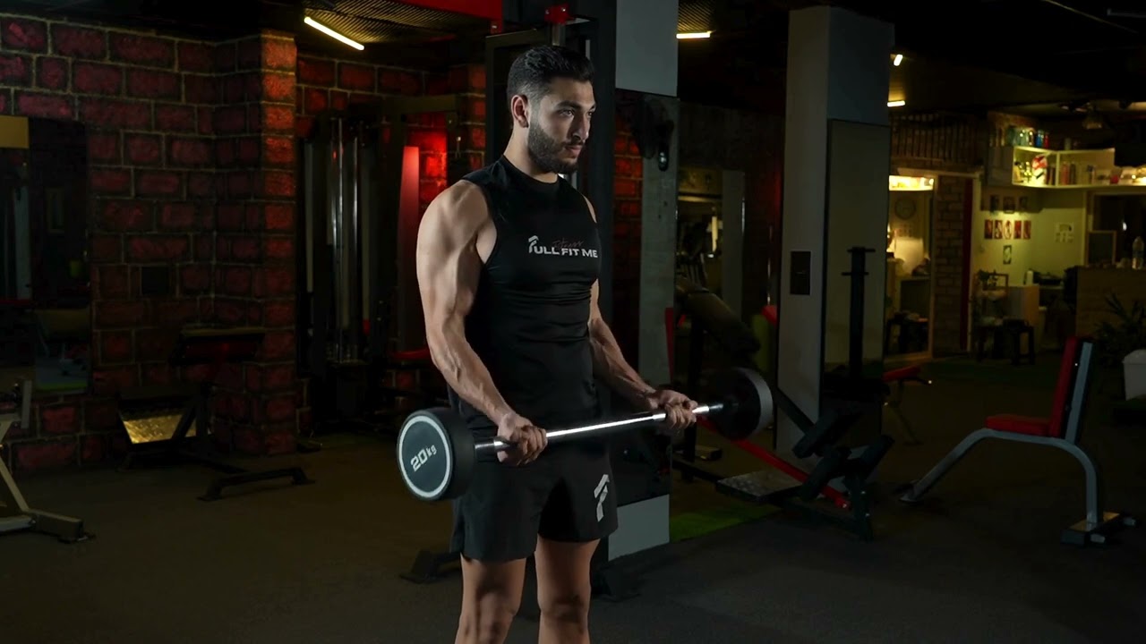 Barbell Curl exercise