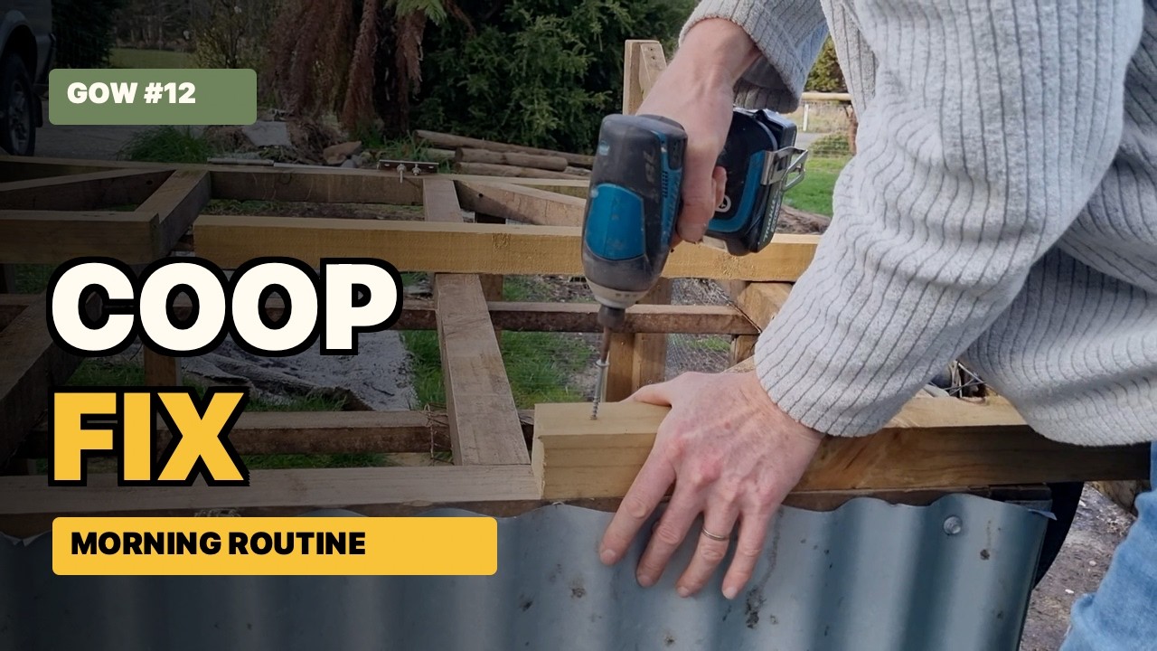 Still from Growing Our Way video 12, mobile chicken coop repair on the homestead