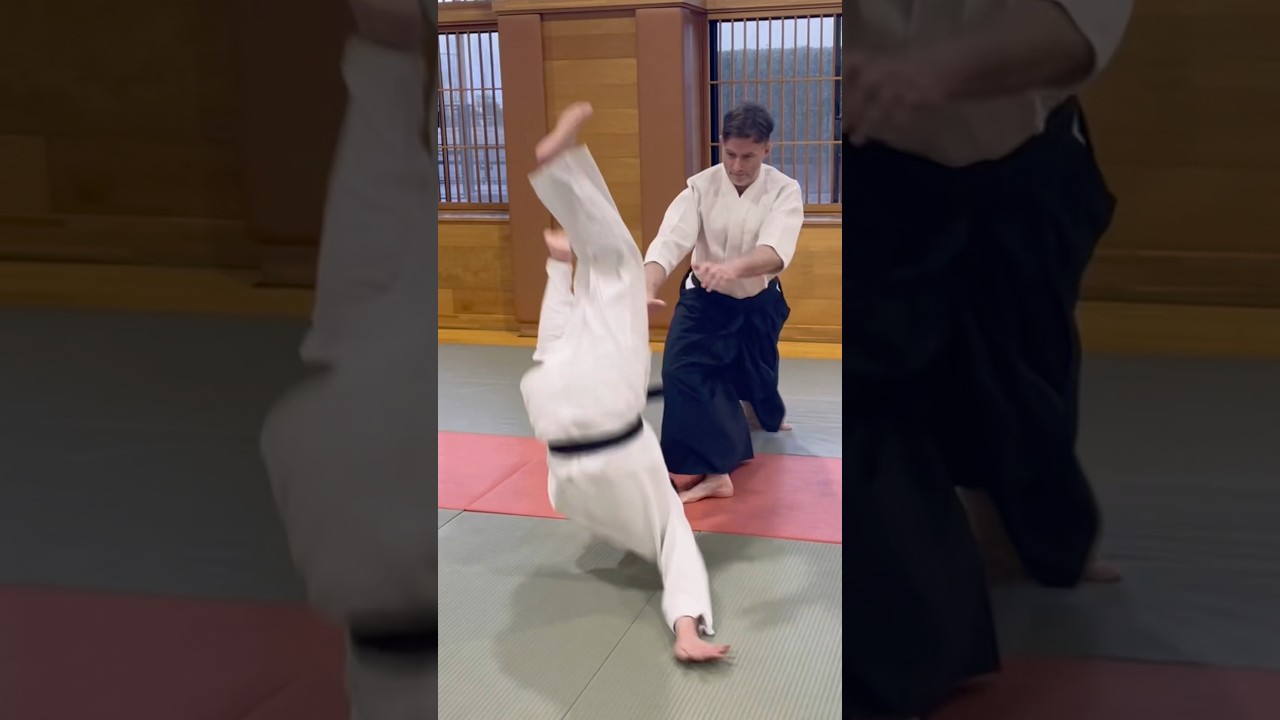 Aikido 横面打ち　#aikido #martialarts #合気道 #武道