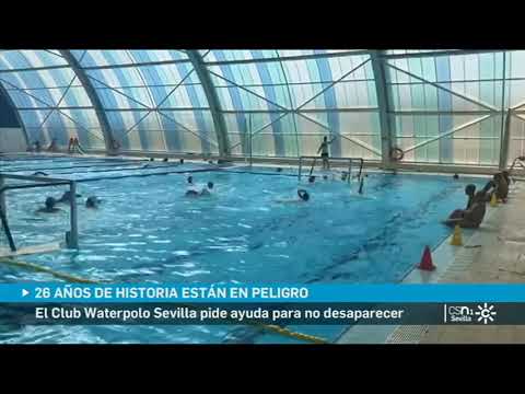 La campaña 'Salvemos al Waterpolo Sevilla', en Canal Sur TV
