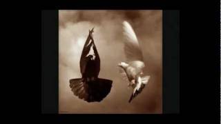 12 Stones - Hey Love ♥.flv