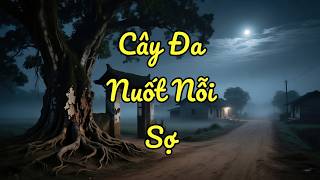 Cây Đa Nuốt Nỗi Sợ