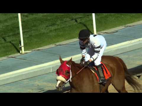 Top-Notch Mares Assemble for 2015 Great Lady M.