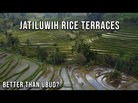 Bali's BIGGEST Rice Terraces | Jatiluwih UNESCO World Heritage Site