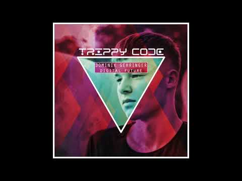 Dominik Gehringer - Solar collector [Trippy code records]