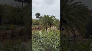 #spain  #adventure #funtimes #vacation #travel #travelphotography #vlog #blog #cruiseadventure