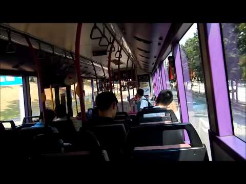 SBST: Ride On SBS8033D [Service 157] Scania K230UB (Batch 1 Euro IV)