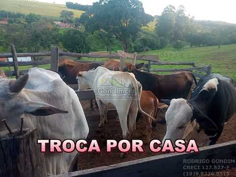 Sítio à Venda em Monte Sião/MG