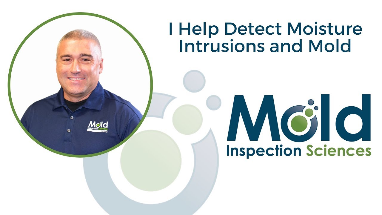 I Help Detect Moisture Intrusion and Mold