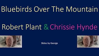 Robert Plant &amp; Chrissie Hynde   Bluebirds Over The Mountain  karaoke