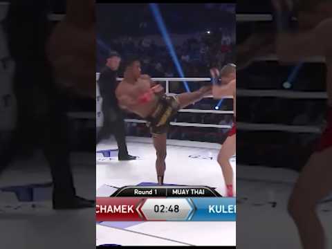 BUAKAW’s Kicks Are Not Human 😳 | Muay Thai Legend 🐐 #muaythai #kickboxing