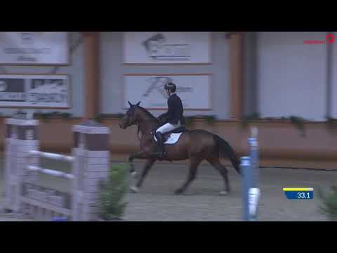 Farzack des Abbayes (Montender x Flipper D'Elle 2015)