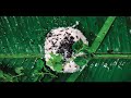Malayalam Kavitha Yathramozhi By Balachandran Chullikkad