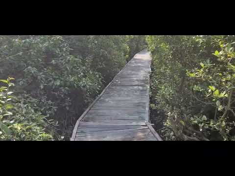 koringa wildlife sanctuary