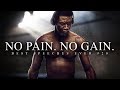 Best Motivational Speech Compilation EVER 20 NO PAIN NO GAIN 30 Minutes Of The Best Motivation