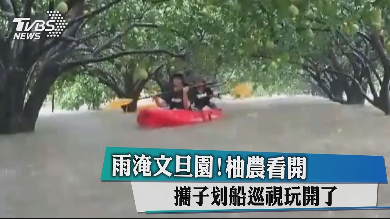 雨淹文旦園! 柚農攜子划船巡視 玩開了~