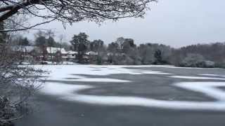 Tomlin's Pond Frimley