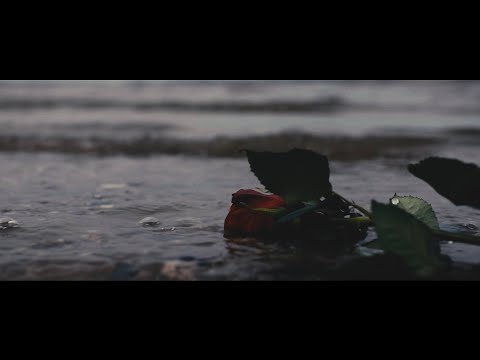 Jonas Schou - Sort Men Smukt Farvel