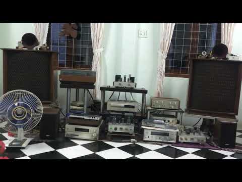 The Yuri Honing Trio-walking On the Moon