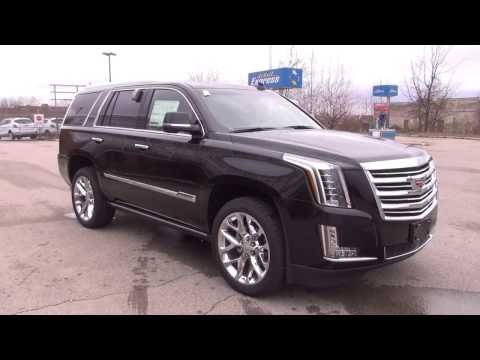 2017 CADILLAC ESCALADE 4WD PLATINUM | Bennett GM | New Car Dealer