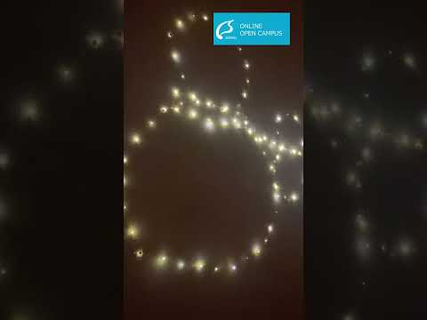 【尚絅学院大学】2024.11.29 ツリー点灯式を行いました！