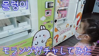 ［한일가족/日韓家族］ハラボジの家に誕生日を祝いにいく/용인SA/韓国高速SA/ガチャ/몰랑이/モラング