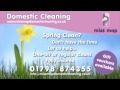 Domestic Cleaning Miss Mop