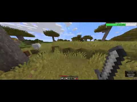 Igatahes on aeg mängida Minecrafti