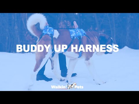 Walkin' Buddy Up Harness