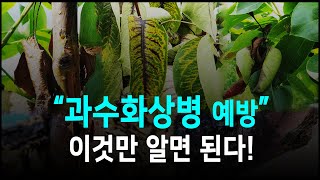 과수화상병 예방 이것만 알면 된다!